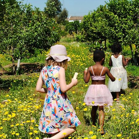 Chitaka'S Organic Farmhouse In Ribatejo 산토에스테베오 외부 사진