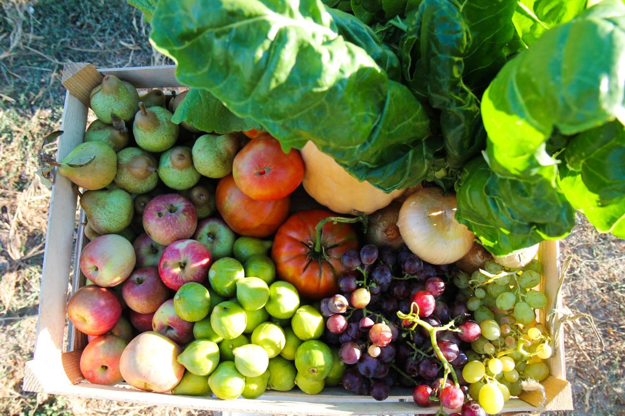 Chitaka'S Organic Farmhouse In Ribatejo 산토에스테베오 외부 사진
